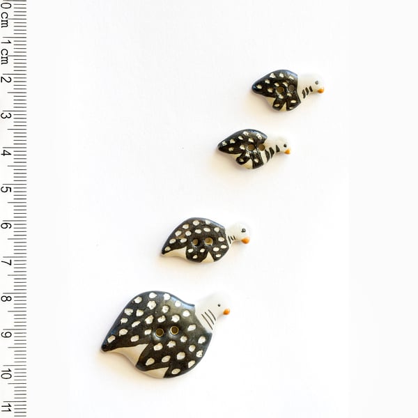 L269 Guinea Fowl Buttons