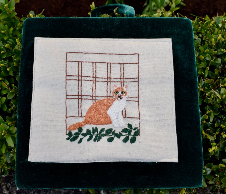 Cat at the window picture.