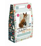 The Crafty Kit Company 'Fabulous Mr Foxy' Needle Felting Kit - Image 2