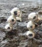 Sterling Silver Nugget Stud Earrings - Image 2
