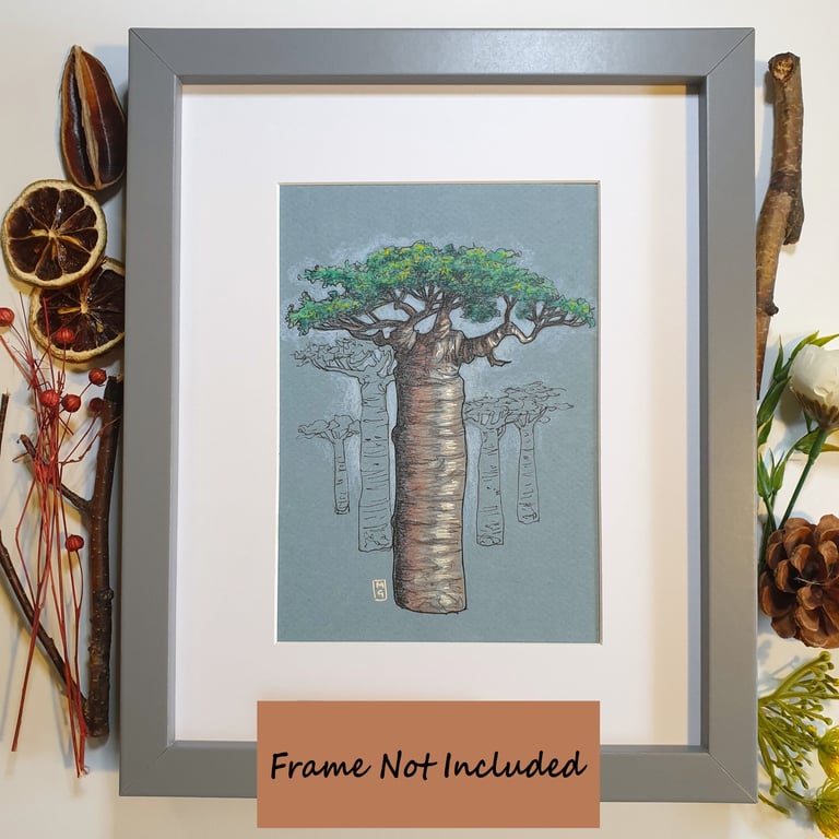 Baobab Tree wall art - Original drawing, tree wall decor, tree study