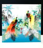 The Exotic Birds of Paradise - Image 1