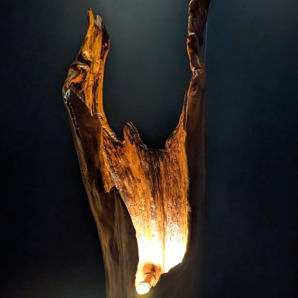 Large tree trunk floor or table lamp 