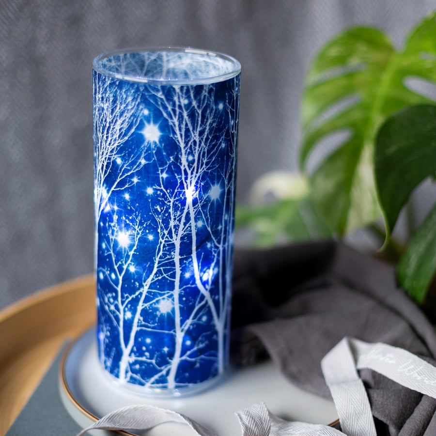Starry Night Cyanotype Vase, Teacher gift 