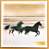 Greetings Card, Horses splashing in waves on a beach, Blank for own message. 