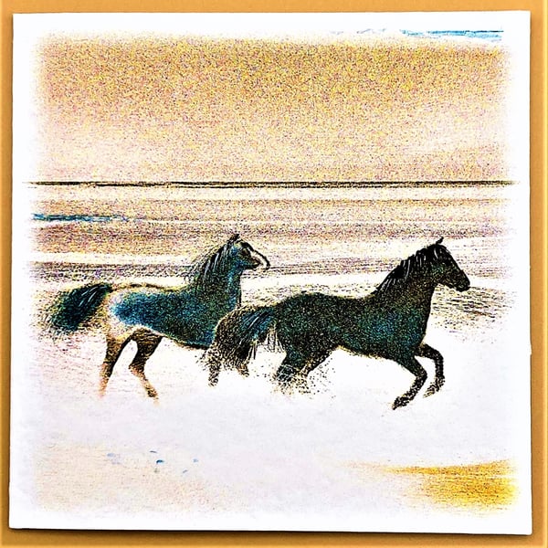 Greetings Card, Horses splashing in waves on a beach, Blank for own message. 