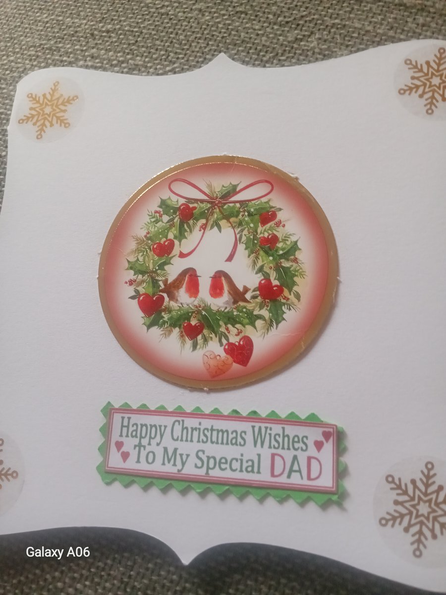 Dad Robin Handmade Christmas Card 