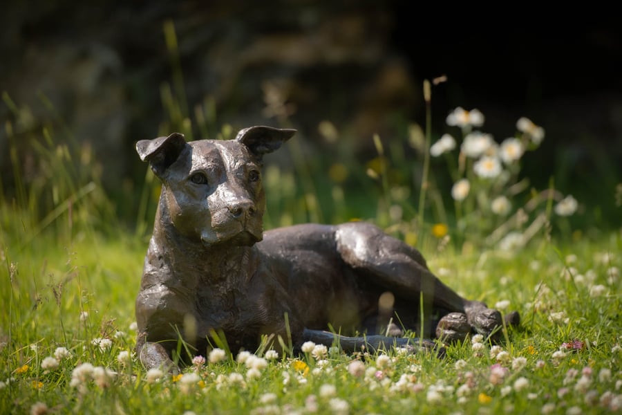 Lying American Staffordshire Terrier Statue Large Bronze Resin Garden Sculpture
