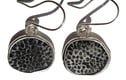 Fossil Jewellery