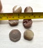 5  buttons with tunnel shank - Image 3