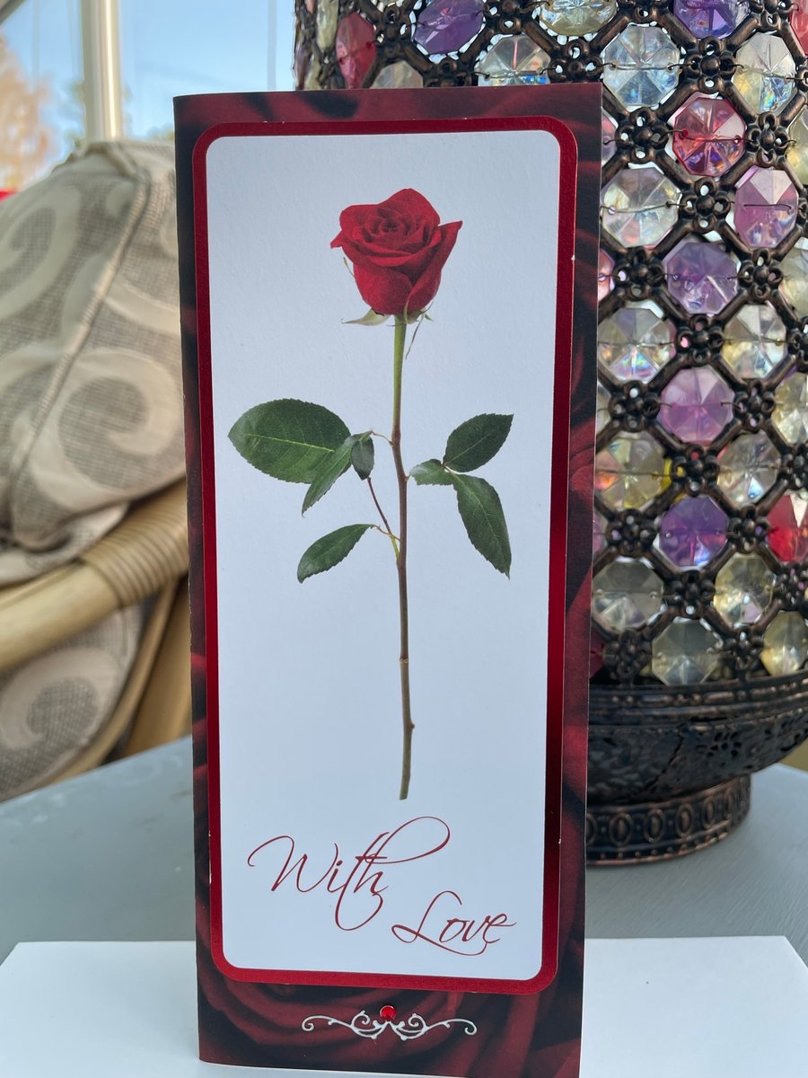 Single red rose with love anniversary or valentines card