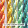 Fine Perle 16 Variegated Embroidery Thread - September Rain