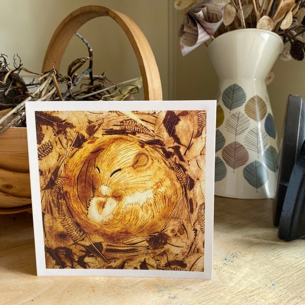 Greetings Card. Dormouse Sleeps