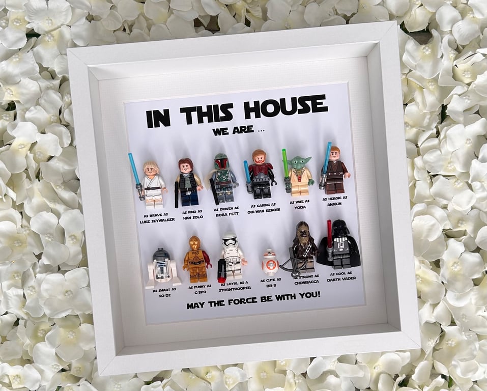Star Wars "In This House We" 12 Minifigure Frame