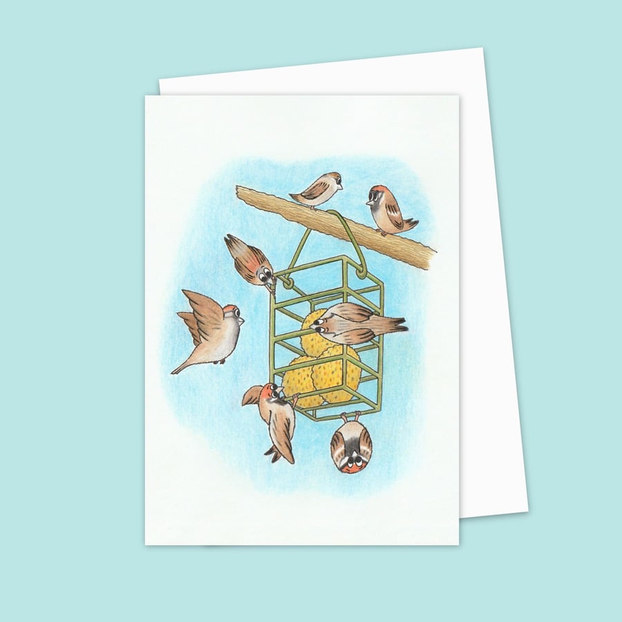 Garden Sparrows Greeting Card: Original Pencil Illustration (208)