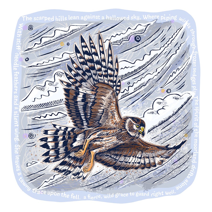 Spririt of th Moorland - Hen Harrier Art Hand-Finished Studio Piece