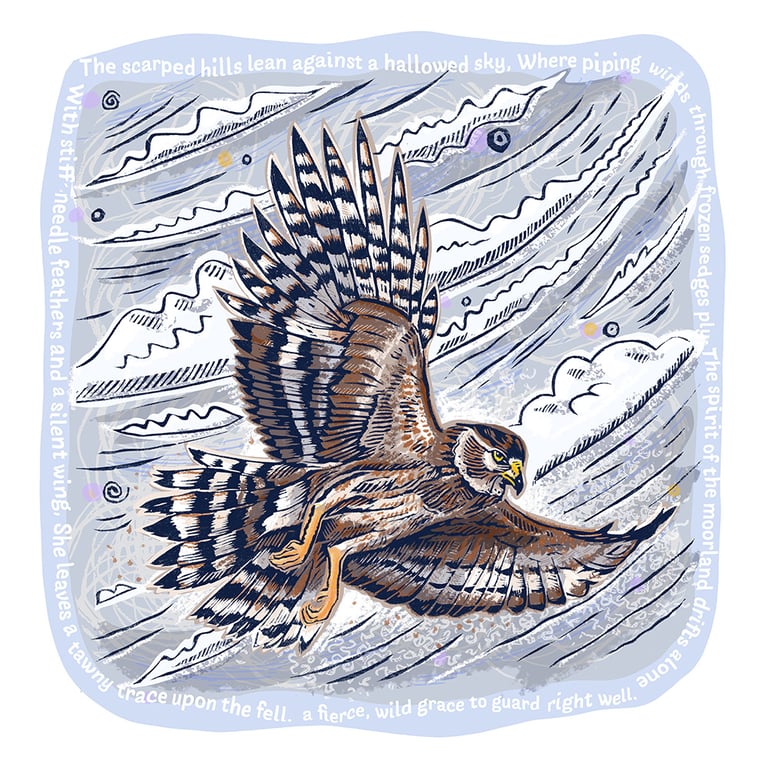 Spririt of th Moorland - Hen Harrier Art Hand-Finished Studio Piece
