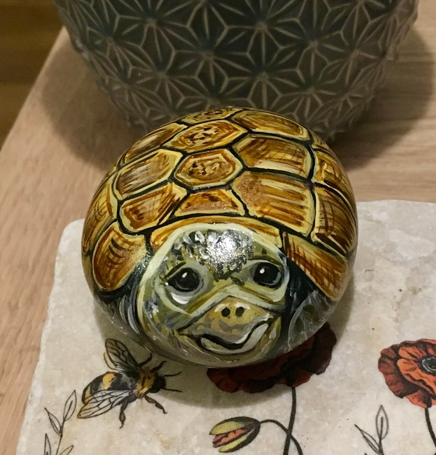 Tortoise hand painted pebble garden rock art pet stone portrait 
