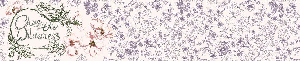 Chase The Wilderness