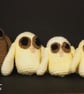Owl babies  - Image 2