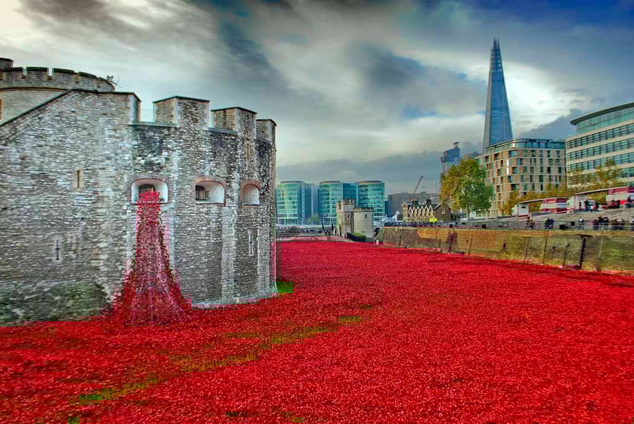 Tower of London Red Poppies England UK Print
