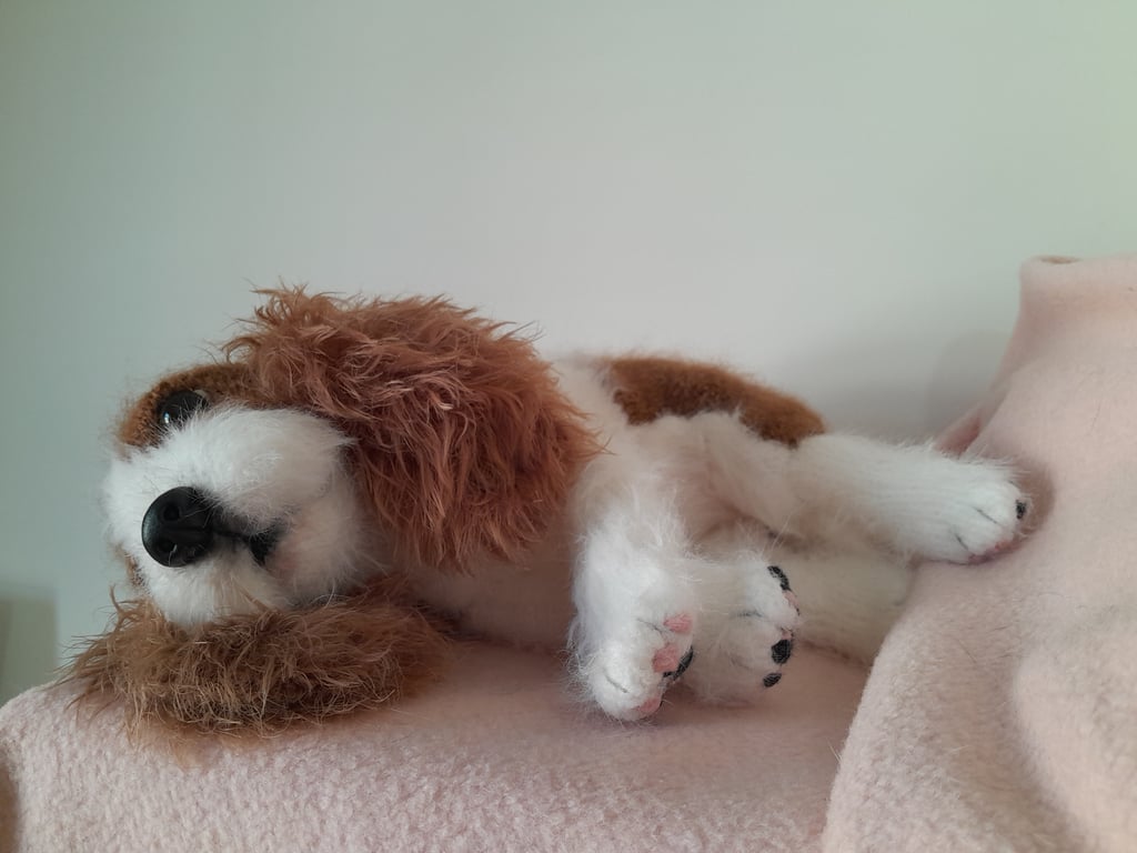 Cavalier King Charles Spaniel, dotpebblesknits design