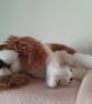 Cavalier King Charles Spaniel, dotpebblesknits design