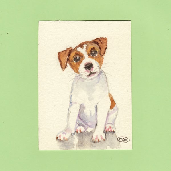 Little Jack Russell Puppy Dog original painting 
