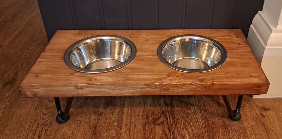 Luxury Dog Feeding Station
