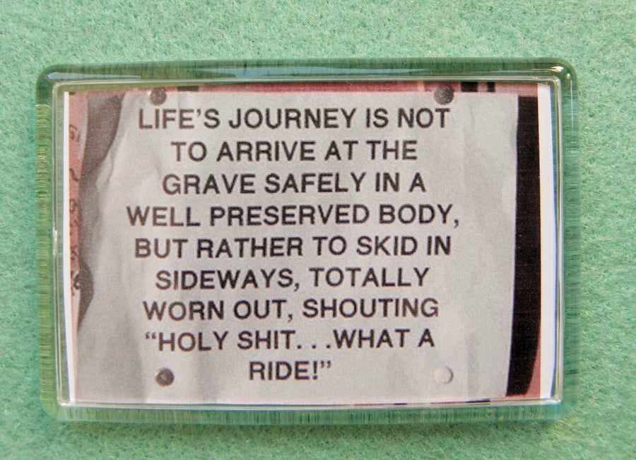 Live Life to the Max Motivational Magnet Anti Healthy Living Fridge Magnet