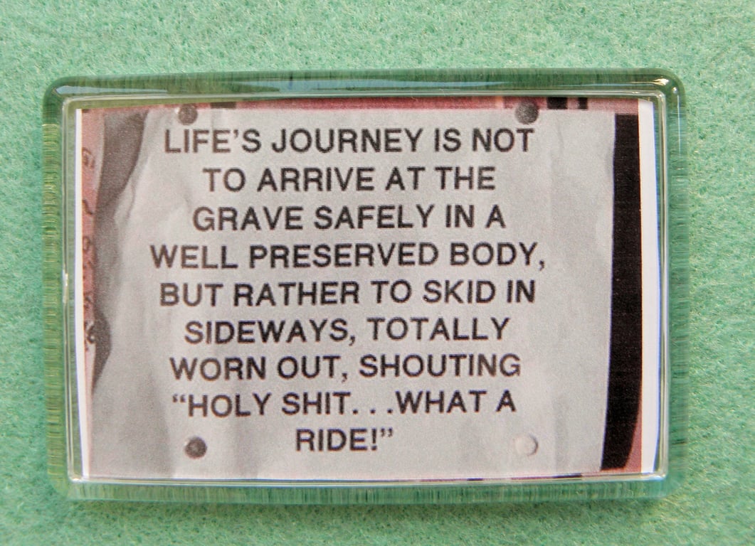 Live Life to the Max Motivational Magnet Anti Healthy Living Fridge Magnet