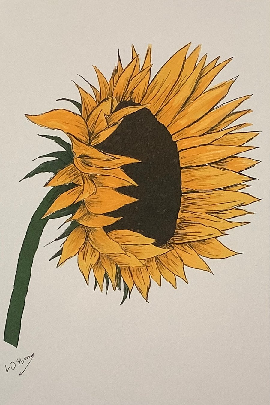 Sunflower. Signed print. Digital illustration. Flower. Gardening