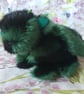 Heartsfire the Baby Dragon, Artist collectors fabric dragon