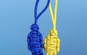 Zip Pull Bundles