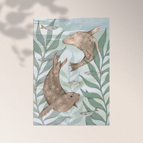 Swimming Seals Large Postcard