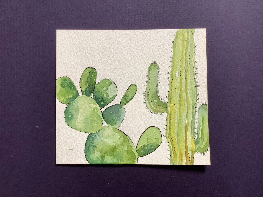 Cacti 2