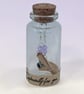 Crystal Earrings with sterling Silver Hooks, Displayed in a glass bottle, - Image 1