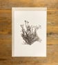 Seaweed art print - Channel Wrack