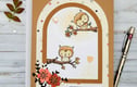 BIRTHDAY CARDS - AGE AND GENERAL 