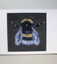 White Tailed Bumblebee Fine Art Giclee Prints