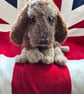 Autumn puppy - Image 5
