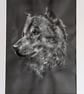 Original Artwork. The Wolf . A4 - Image 3