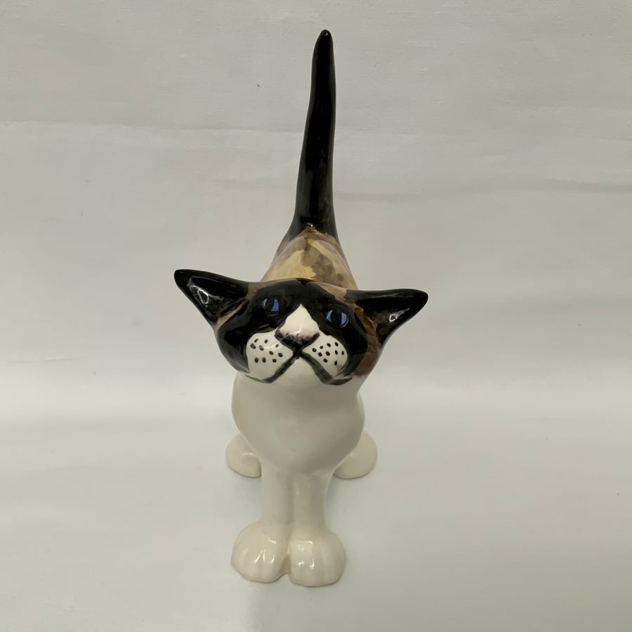 Ragdoll Standing Cat