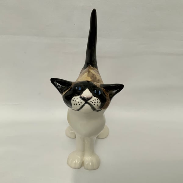 Ragdoll Standing Cat