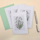 A6 Card Set of 4 - Snowdrop Birth Flower Botanical Blank Greeting Card