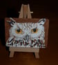 Original ACEO Owl - Image 5