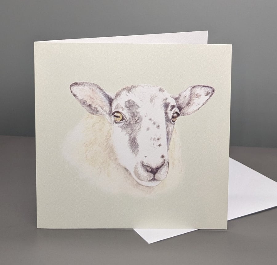 Sheep greetings card