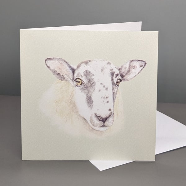 Sheep greetings card