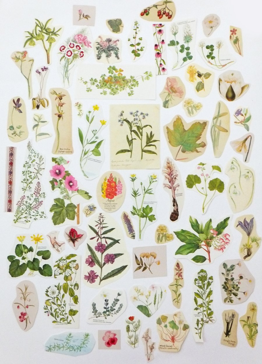 Paper Ephemera Pack - Flowers - Crafting Supplies