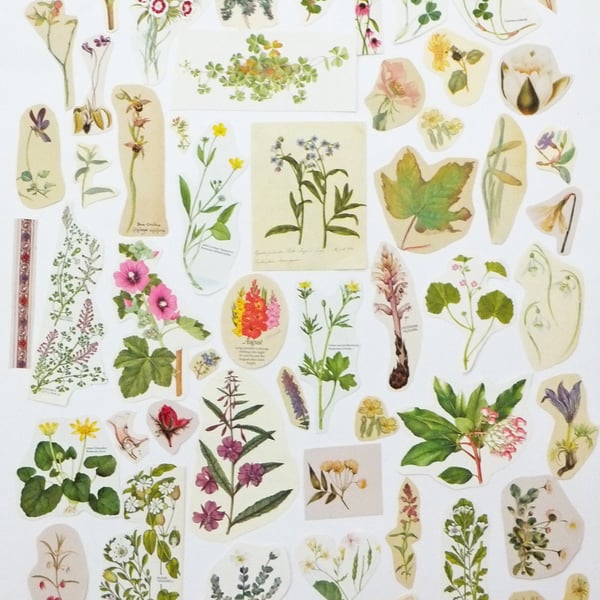 Paper Ephemera Pack - Flowers - Crafting Supplies